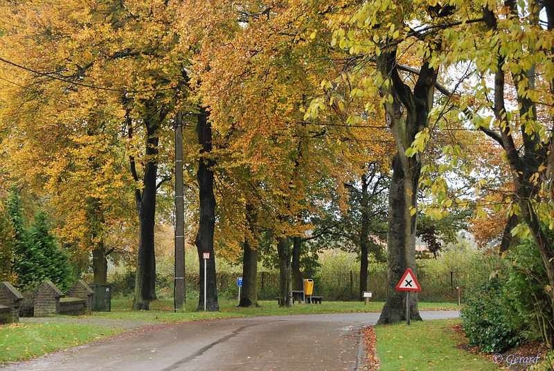 Kruispunt Grevenbroek Slipstraat.JPG - Kruispunt Grevenbroek Slipstraat